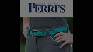 Perri’s® 2-In-1 Reversible Belt