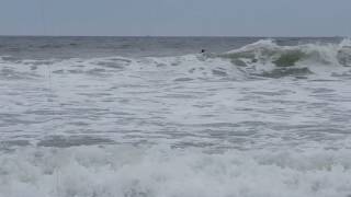 How come Surfers have NO RESPECT for fishermen?