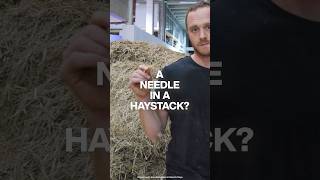 Artist ACTUALLY Found A Needle In A Haystack 🪡