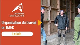 Organiser le travail en production laitière et vente de lait cru