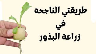 لن تفشل ابدا في زراعة البذور🍅 إزرع خضروات و ازهار بهذه الطريقة الأسهل و الاسرع لانبات البذور.