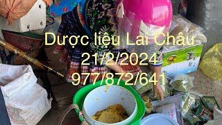 Sâm đương quy, ngọc cẩu, tam thất, ba kích 21/2-977/872/641