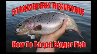 Strawberry Reservoir Shore Fishing (How To Target Bigger Fish)