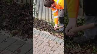 Digging over a flowerbed