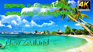 A Journey to New Zealand || ഇത്രയും ഭംഗിയുള്ള ബീച്ച്.. കണ്ടു കണ്ണ് തള്ളിപ്പോയെ || 4K HD Video