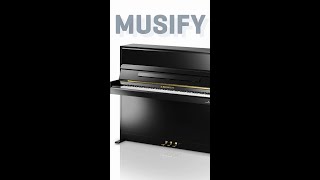 Musify: Bechstein