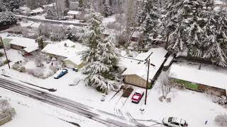 Snow day in Seattle