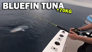 70KG BLUEFIN TUNA in ITALY! 🇮🇹