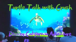 Turtle Talk with Crush 🌊 Part 1