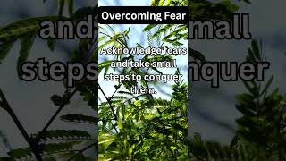 Overcoming Fear - Best Motivation #motivation #inspiration #foryou #fyp #fear@JustAmazing88