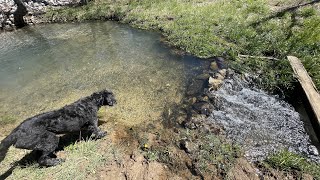 Clear As Unfiltered Creek Water 💧