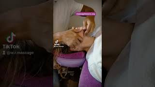 Face massage