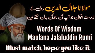 Instructive & Amazing Quotes of Maulan Jalaluddin Rumi|Best Quotes in Urdu/English   |Shameer Quotes