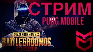 СТРИМ PUBG MOBILE КАЧАЮ АСА ИГРАЮ С IPAD MINI 5 СКВАДЫ 3-е лицо STREAM