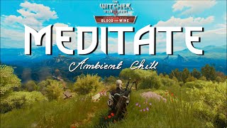 The Witcher 3 - Do 20 minutes of Meditation Like a Witcher & Natural Ambience