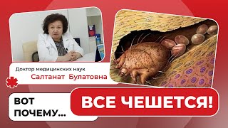 Почему все чешется?