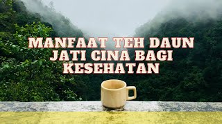 Manfaat Teh Daun Jati Cina bagi Kesehatan