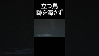 #紀ノ川流域いきものチャンネル　#和歌山県