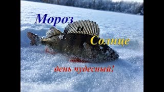 Окунь рядом с домом/perch fishing near the house