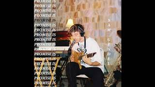 Sam Gendel - Promise Is