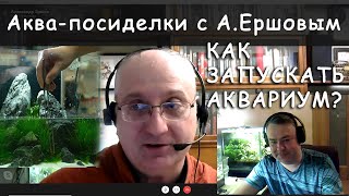 Как запускать аквариум. Аква-посиделки с А. Ершовым