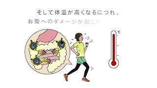 【ダイジェスト動画】なぜ、運動をするとお腹にダメージが起こるの？／イラストで学ぶ