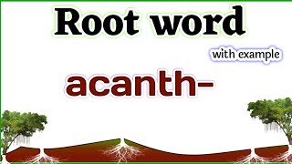 root word acanth meaning | root words in English |vocabulary | #englishscholar #rootwords