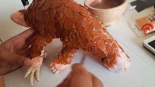 PLUSH PANGOLIN PT.6