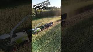 Thx Mich #riccic #claas jaguar #farmvlog #farming #landwirtschaft #fy