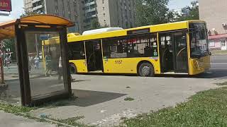 🚌 Новый МАЗ 203.047 в Ростове-на-Дону 🚌