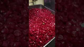 चॉकलेट का बिजनेस करें और रोजाना 2000 से ज्यादा कमाई#business#gudduvlogs #shortvideo#chocolate#viral