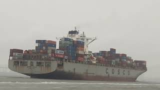 COSCO JAPAN | Container Ship | Flag Hong Kong | Spotted Zeeland Netherlands 🛟⚓️ #cloudyweather