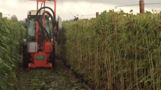 LEAF REMOVER - SOFT FRUITS