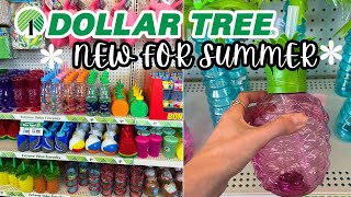 What's New at Dollar Tree for Summertime! Summer Shop With Me Dollar Tree 2024