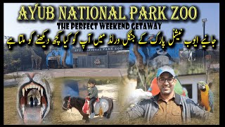 Ayub National Park|Jungle World|Exploring Zoo|Amusement Park|Tour|Rawalpindi|Jungle World Ayub Park