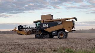 Combine Harvesting Soybeans and Unloading into Truck