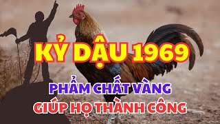 5 Phẩm Chất Vàng Giúp Người Tuổi Kỷ Dậu 1969 Chinh Phục Thành Công