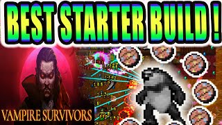 Vampire Survivors: BEST Starter Build!!? High DMG + Def! Cavallo The God (Build In Description)