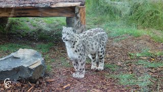 Northumberland Zoo - June 2021 - 4K Insta360 OneX