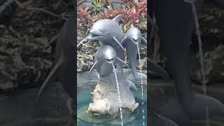 #dolphin #statue #waterfall #fountain