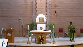 Sunday, September 22, 2024, 10:45 AM Mass