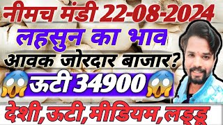 नीमच मंडी भाव। आज का लहसुन का भाव। Aaj ka Lahsun ka bhav। Lahsun ka bhav Neemuch mandi