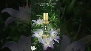 INVOLVE Rainforest Simply Lilly |