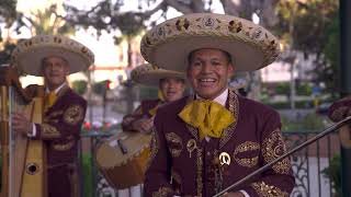 Mariachi Los Camperos - "El son del perro — The Son of the Dog" (Official Music Video)