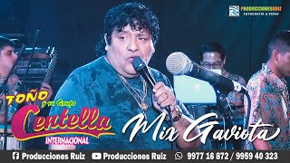 Mix Gaviota - Toño y su Grupo Centella