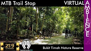 Singapore Ambience - Bukit Timah Nature Reserve - MTB Trail Stop