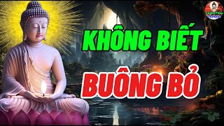 Không Buông Bỏ Cũng Giống Như Mang Theo Tảng Đá Khi Đi Đường Dài -  Thật Khổ Và Mệt