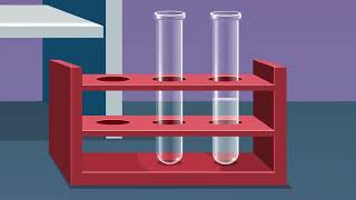 Reaction between an acid and a base to show the process of neutralization