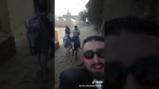 رحله خيل الى الاهرمات