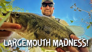 Crushing largemouth bass on a HIGH SCHOOL student's baits!!!